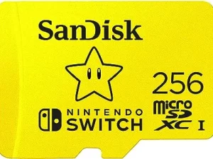SanDisk 256GB microSD Card
