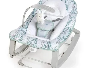 Baby Bouncer Seat & Infant to Toddler Rocker