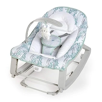 Baby Bouncer Seat & Infant to Toddler Rocker