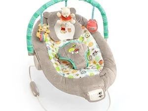 Baby Bouncer Soothing Vibrations Infant Seat
