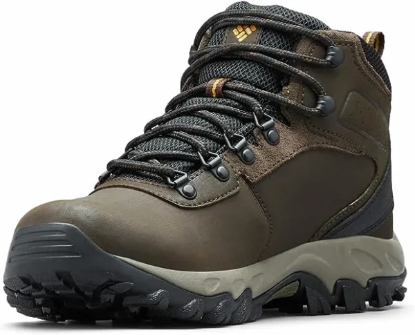 Men's Newton Ridge Waterproof Hiking Shoe